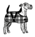 foggy mountain dog coats site logo