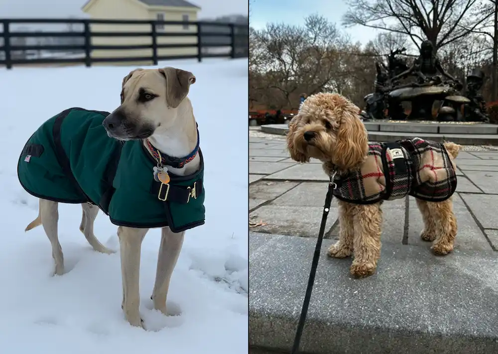 side by side comparison of a nylon dog coat compared to a fleece snuggler dog coat